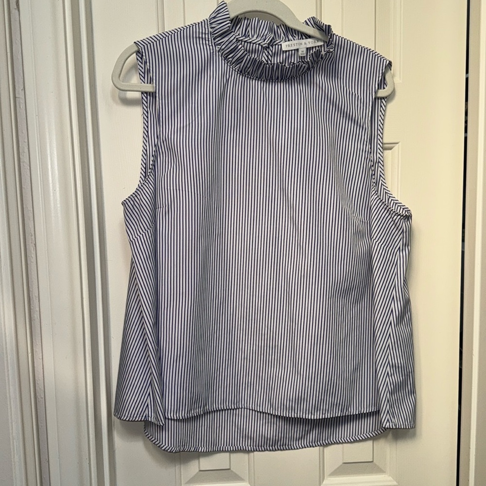 Preston and York Women’s Blouse! Blue white strip high neck ruffle